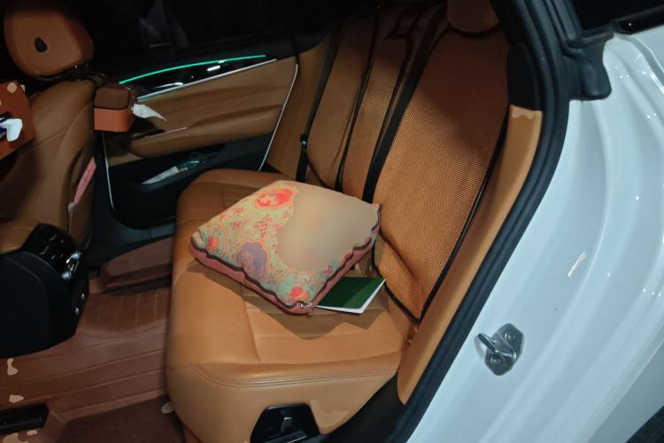 Used BMW 6 Series GT 2019 630i M Sport Package Left Rear Seat