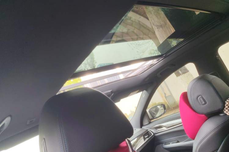 Used BMW 6 Series GT 2021 630i M Sport Package Headliner