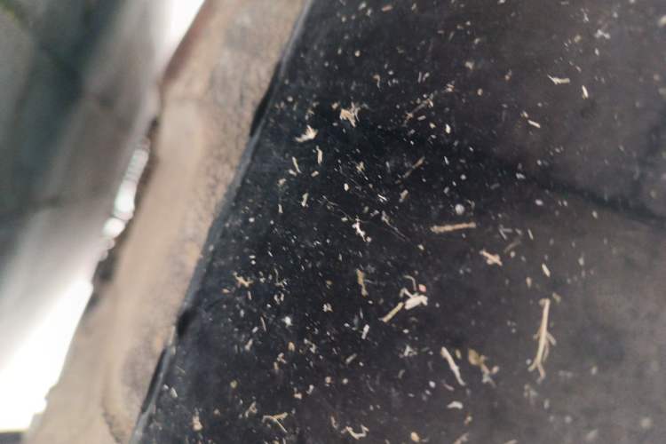 Used BMW 7 Series 2005 740Li Chassis Rear