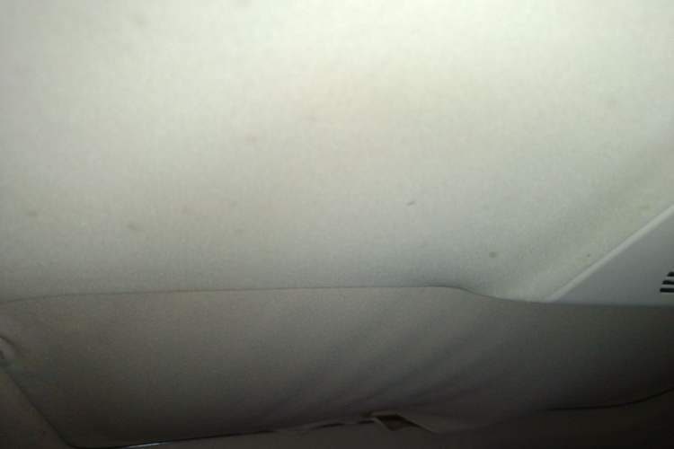 Used BMW 7 Series 2007 730Li Downgraded Version Headliner