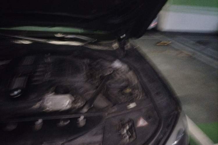 Used BMW 7 Series 2009 740Li Leading Model Engine Bay Left