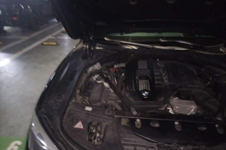 Used BMW 7 Series 2009 740Li Leading Model Engine Bay Right