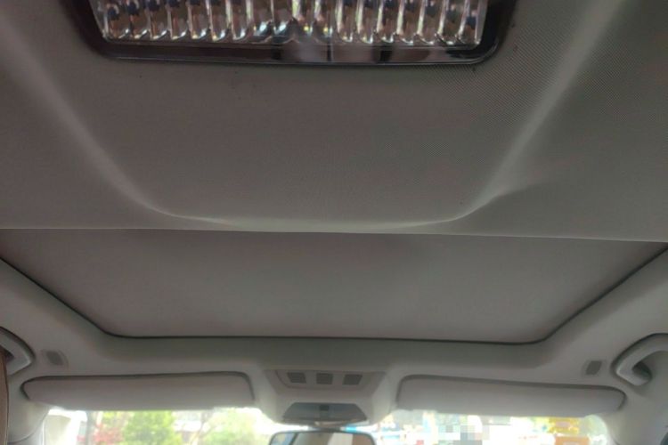 Used BMW 7 Series 2009 740Li Leading Model Headliner