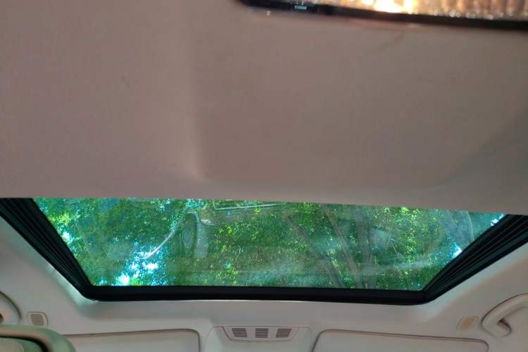 Used BMW 7 Series 2009 740Li Leading Model Headliner