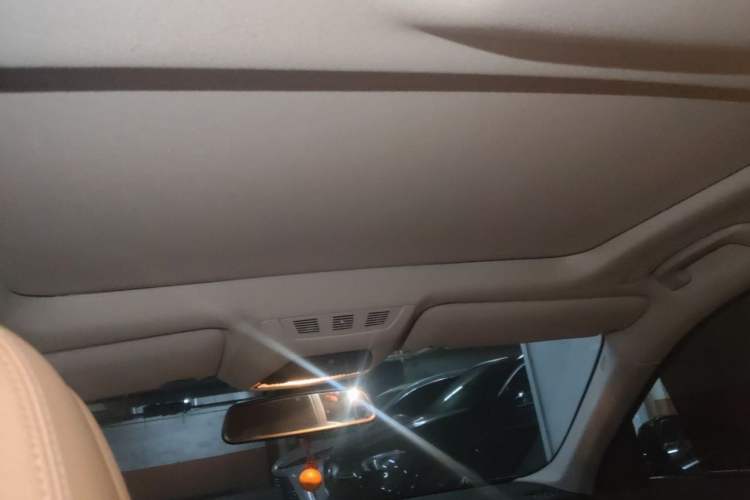 Used BMW 7 Series 2009 730Li Luxury Model Headliner