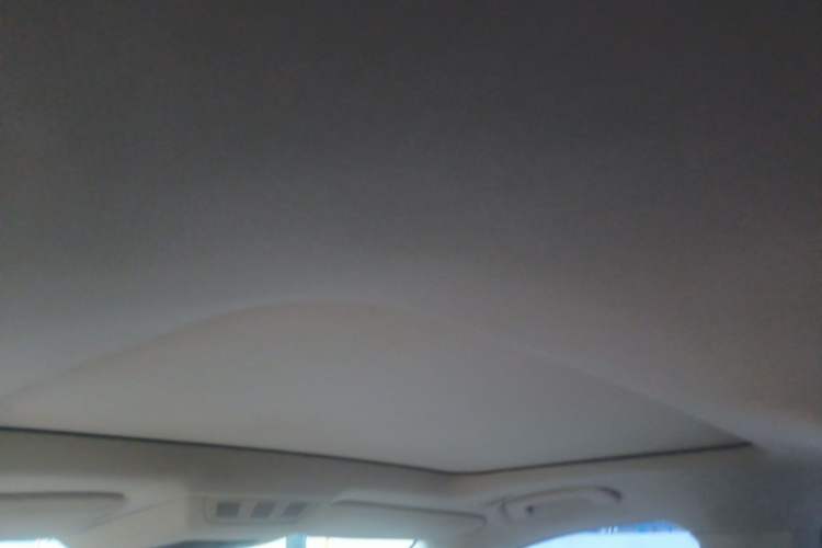 Used BMW 7 Series 2009 730Li Leading Model Headliner