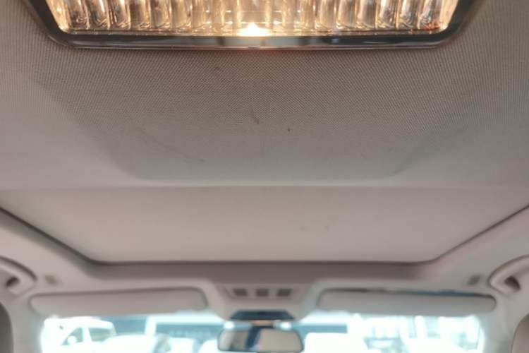 Used BMW 7 Series 2009 730Li Leading Model Headliner