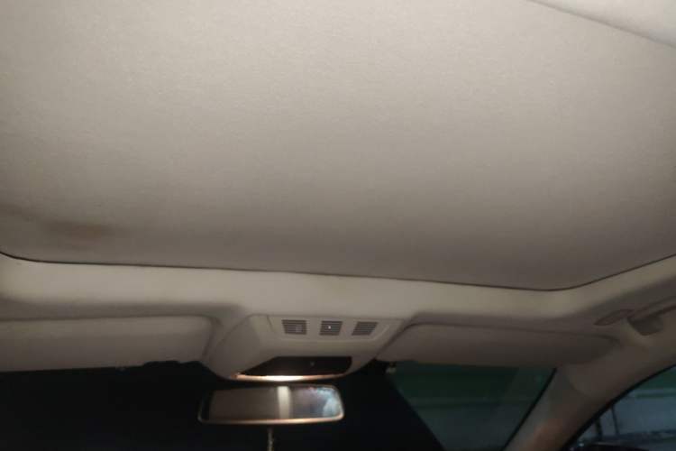 Used BMW 7 Series 2009 730Li Leading Model Headliner