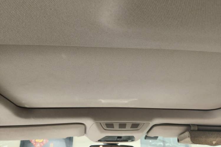 Used BMW 7 Series 2009 740Li Leading Model Headliner