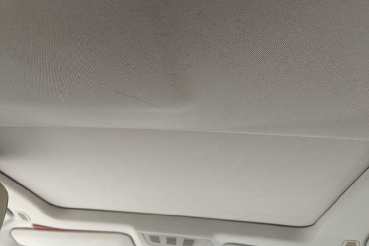 Used BMW 7 Series 2009 740Li Leading Model Headliner