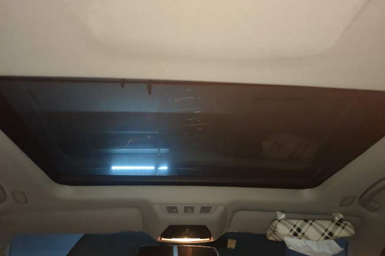 Used BMW 7 Series 2009 740Li Leading Model Headliner
