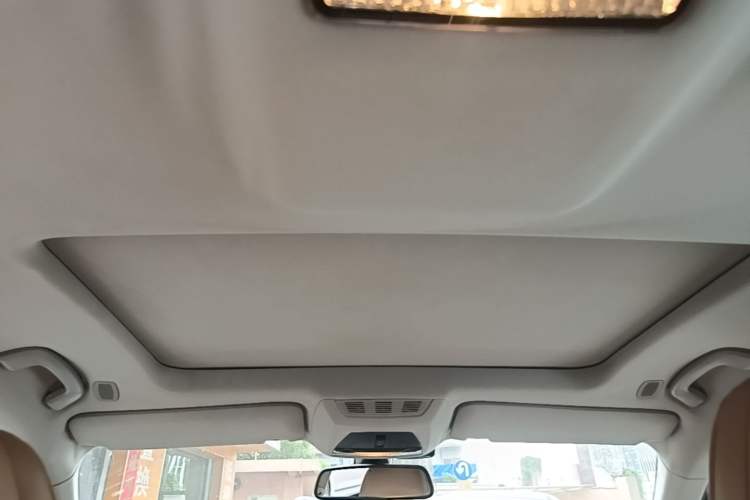 Used BMW 7 Series 2009 740Li Luxury Model Headliner
