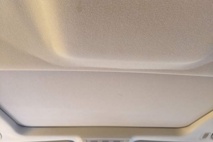 Used BMW 7 Series 2009 740Li Leading Model Headliner
