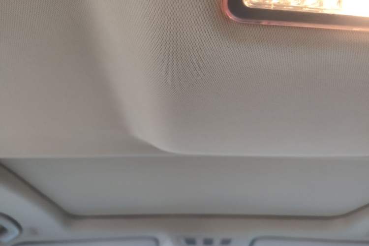 Used BMW 7 Series 2009 730Li Luxury Model Headliner