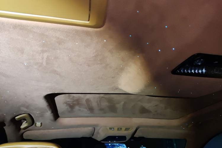 Used BMW 7 Series 2009 740Li Leading Model Headliner