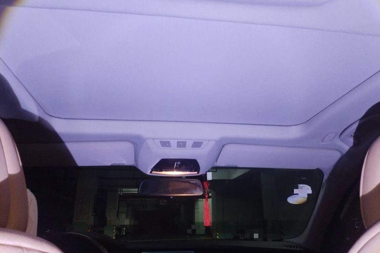 Used BMW 7 Series 2009 740Li Luxury Model Headliner