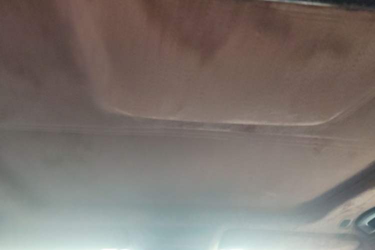 Used BMW 7 Series 2009 730Li Luxury Model Headliner