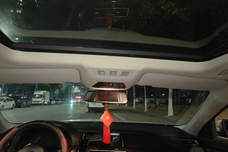 Used BMW 7 Series 2009 730Li Leading Model Headliner
