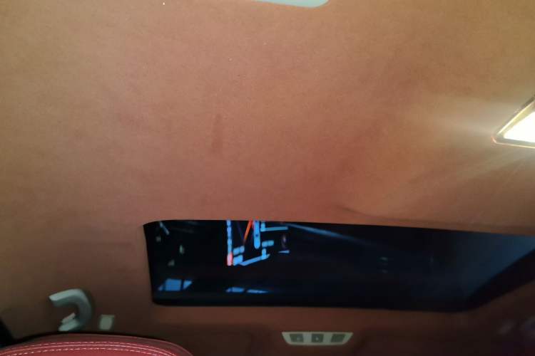 Used BMW 7 Series 2009 730Li Luxury Model Headliner