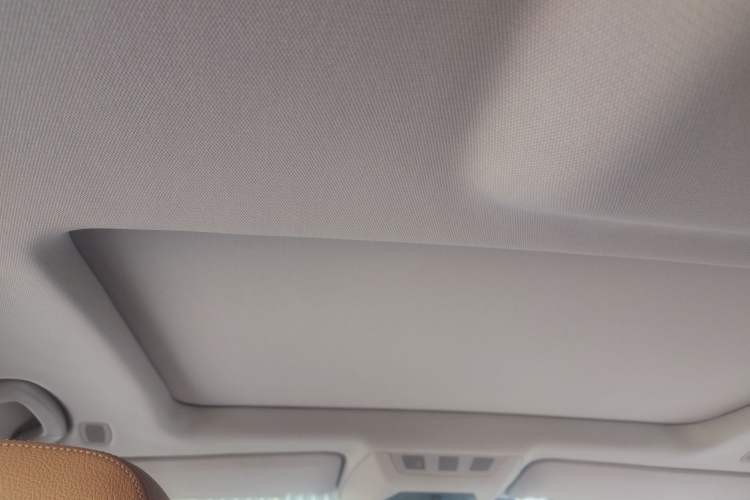 Used BMW 7 Series 2009 730Li Luxury Model Headliner