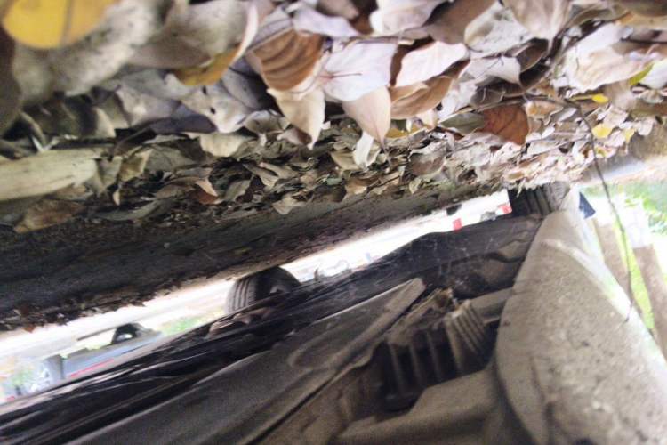 Used BMW 7 Series 2009 740Li Leading Model Chassis Rear Left
