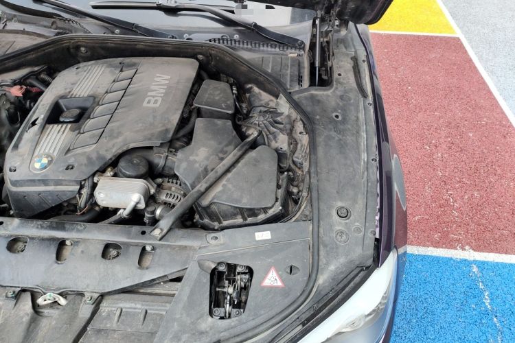 Used BMW 7 Series 2009 730Li Leading Model Engine Bay Left