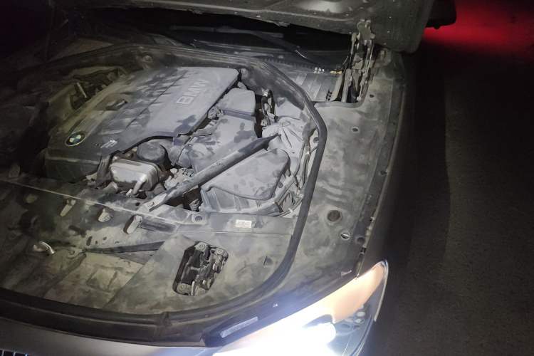 Used BMW 7 Series 2009 730Li Leading Model Engine Bay Left