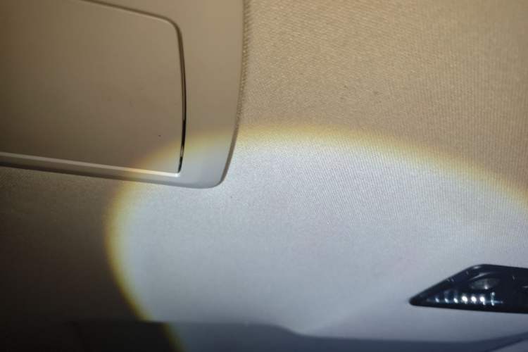 Used BMW 7 Series 2009 740Li Leading Model Headliner