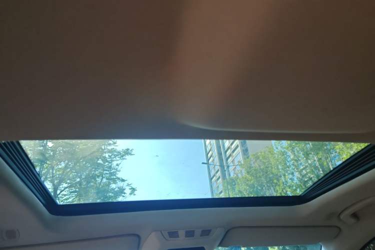 Used BMW 7 Series 2009 740Li Leading Model Headliner