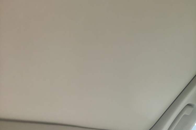 Used BMW 7 Series 2009 730Li Leading Model Headliner