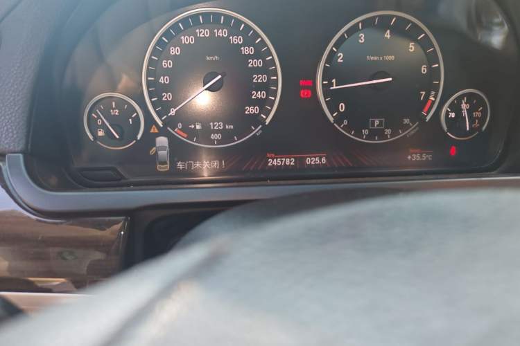 Used BMW 7 Series 2009 740Li Leading Model Odometer Close Up