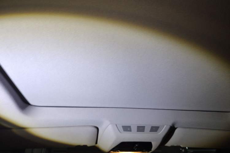 Used BMW 7 Series 2009 740Li Leading Model Headliner