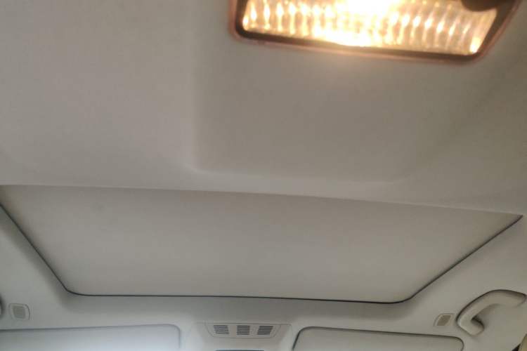 Used BMW 7 Series 2009 730Li Leading Model Headliner