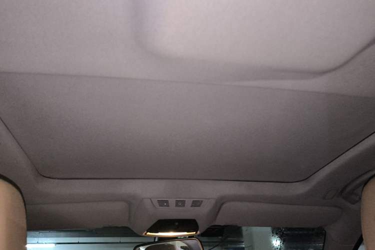 Used BMW 7 Series 2009 740Li Leading Model Headliner