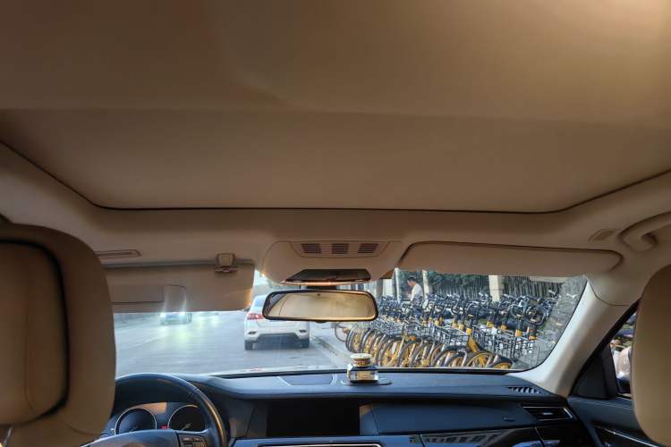 Used BMW 7 Series 2009 740Li Leading Model Headliner