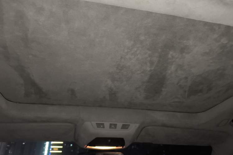 Used BMW 7 Series 2010 760Li Headliner