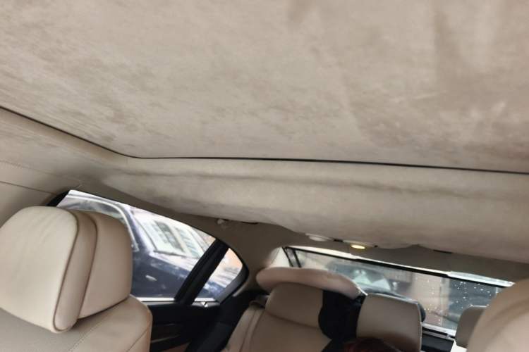 Used BMW 7 Series 2010 760Li Headliner