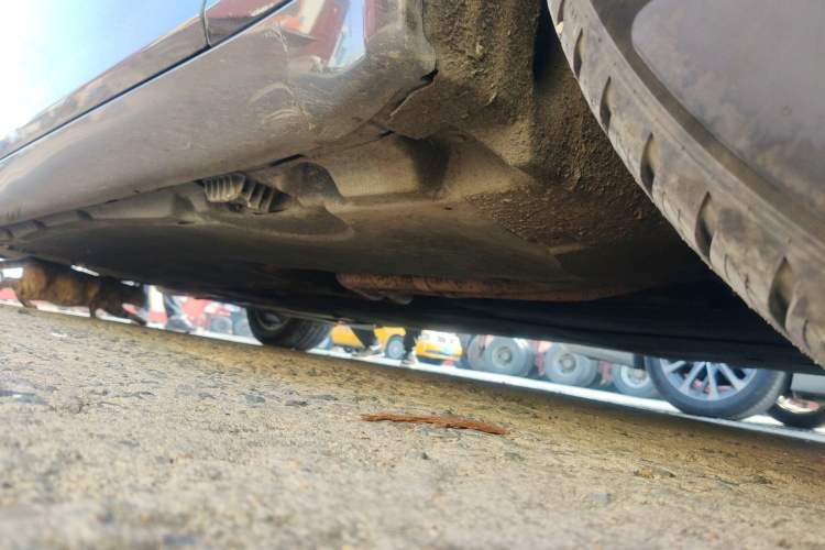 Used BMW 7 Series 2011 730Li Elegant Model Chassis Front Right