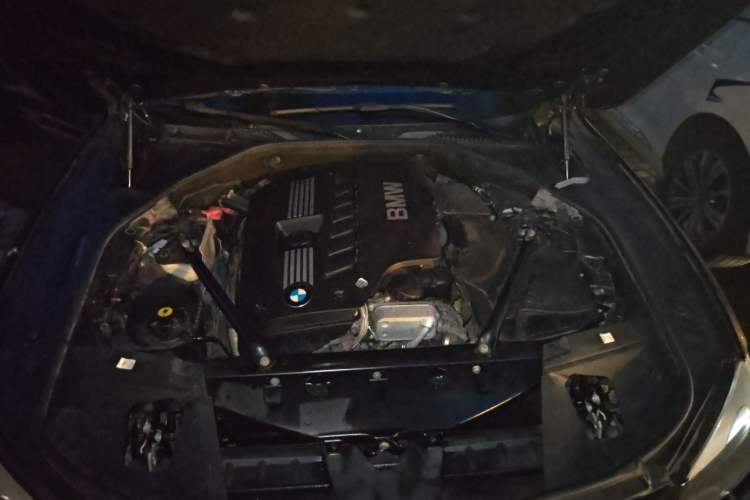 Used BMW 7 Series 2011 730Li Elegant Model Engine Bay