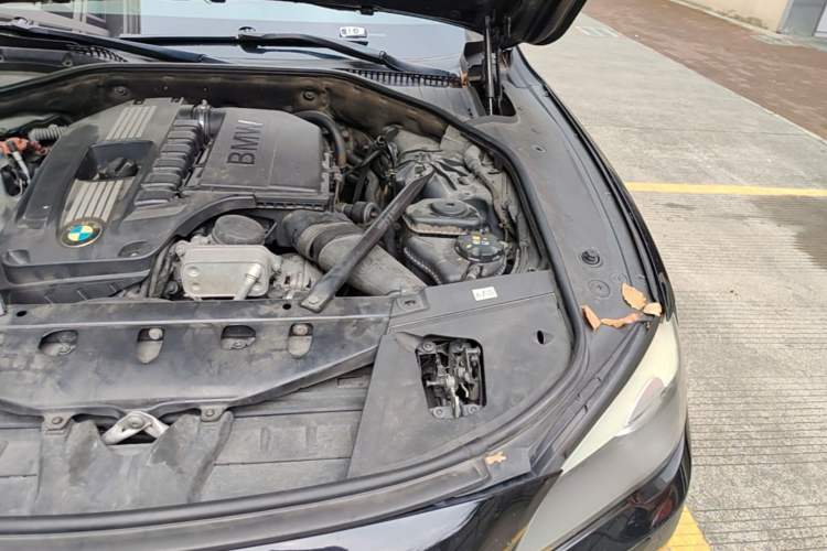 Used BMW 7 Series 2011 730Li Elegant Model Engine Bay Left