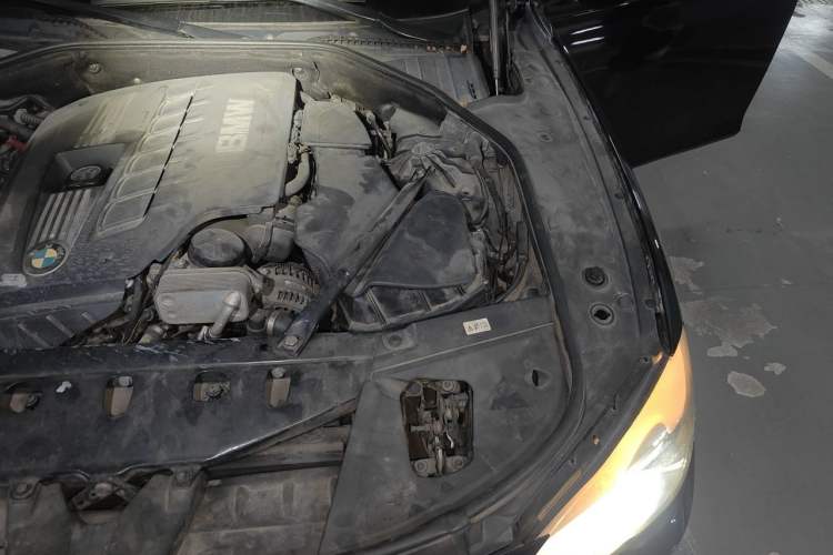 Used BMW 7 Series 2011 730Li Elegant Model Engine Bay Left