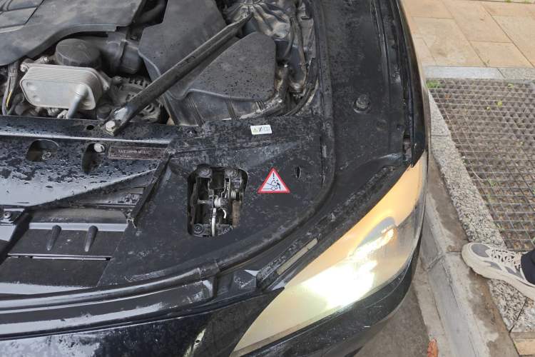 Used BMW 7 Series 2011 730Li Elegant Model Engine Bay Left