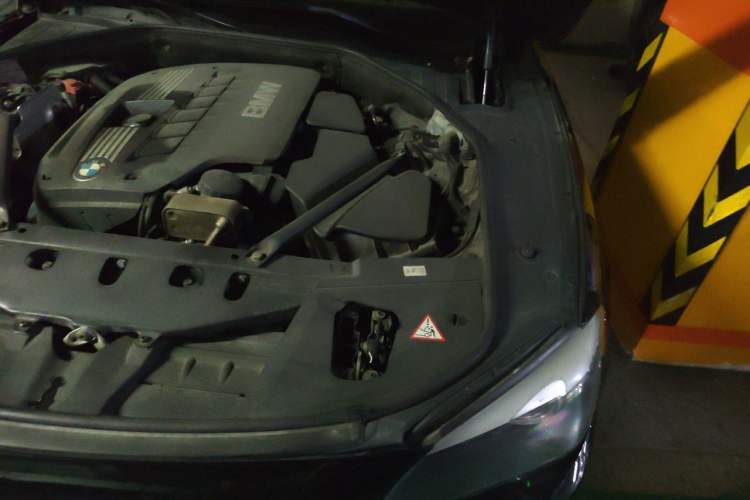 Used BMW 7 Series 2011 730Li Elegant Model Engine Bay Left