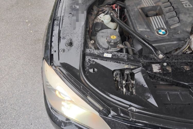 Used BMW 7 Series 2011 730Li Elegant Model Engine Bay Right