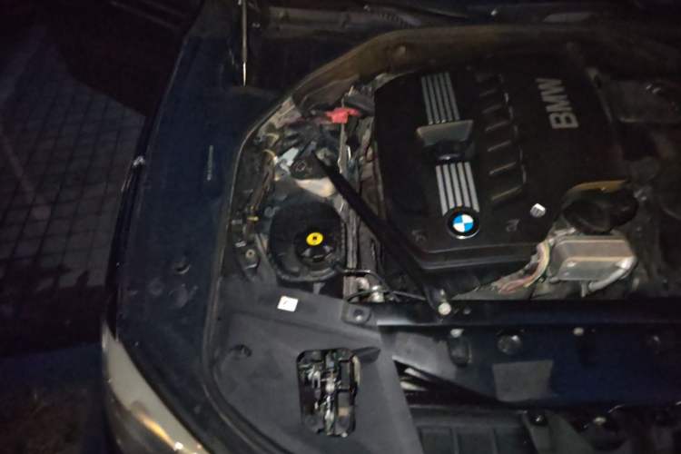 Used BMW 7 Series 2011 730Li Elegant Model Engine Bay Right
