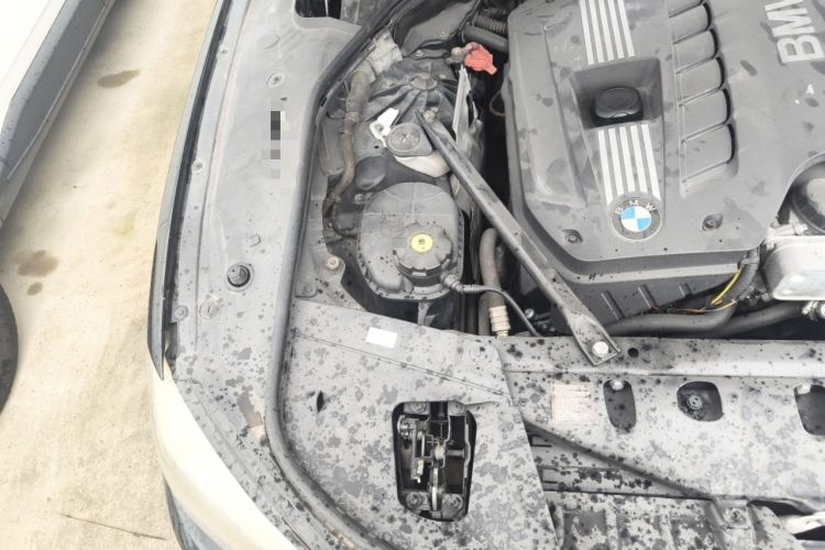 Used BMW 7 Series 2011 730Li Elegant Model Engine Bay Right