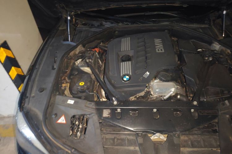 Used BMW 7 Series 2011 730Li Elegant Model Engine Bay Right