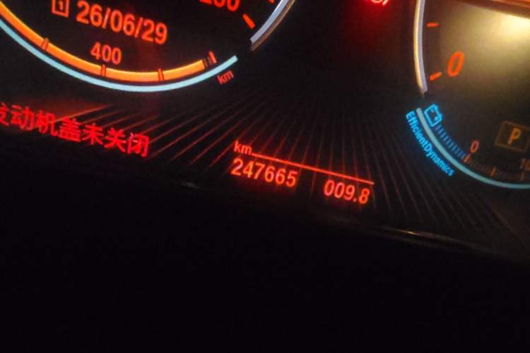 Used BMW 7 Series 2011 730Li Elegant Model Odometer Close Up