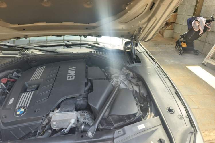Used BMW 7 Series 2011 730Li Elegant Model Engine Bay Left