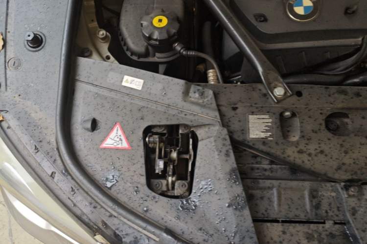 Used BMW 7 Series 2011 730Li Elegant Model Engine Bay Right